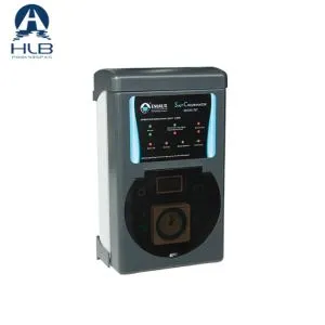 পুল জীবাণু নির্বীজন লবণ জল ক্লোরিনেটর